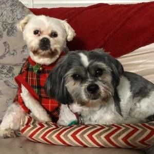 Meet your Posher, Alison